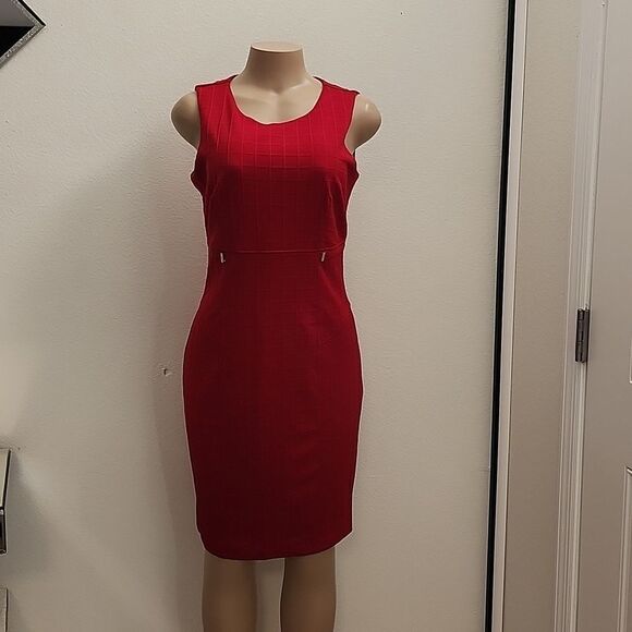 BRAND NEW STELLA &JULIE SLEEVELESS INVIBLE BACK ZIPPER ROUND NECK DRESS - Picture 4 of 16
